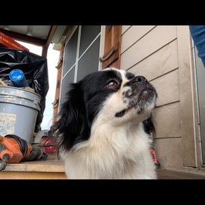 Meet your Posher, Yessenia